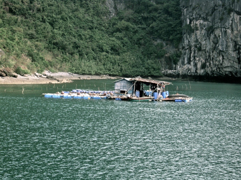 Ha Long Bay Floating Village